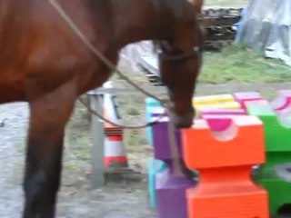 Galant, "rappel au clicker.