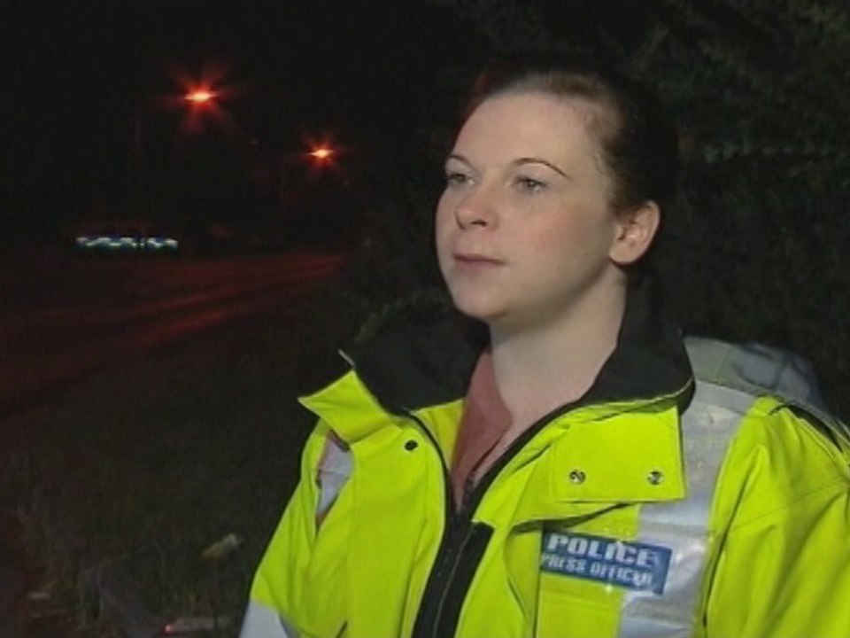 Lion On The Loose In UK Streets