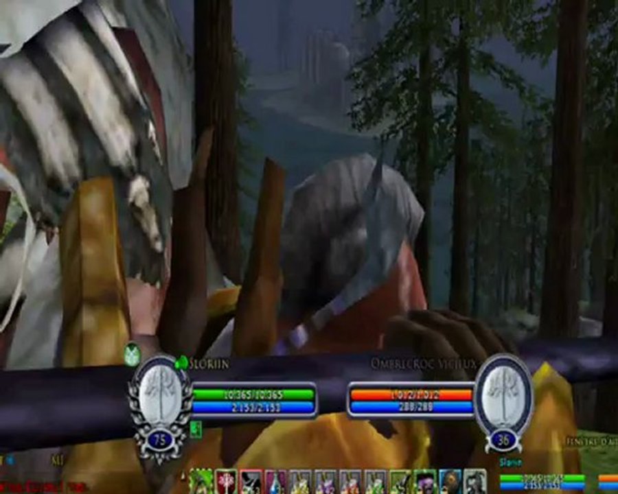 Larya Guild Test