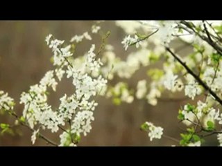 Emre Kaya - TOZ (2012)