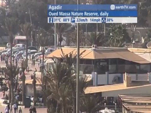 Agadir - Morocco, Warsaw - Poland, Tenerife - Spain, Arcachon - France, Vienna - Austria, Doha - Qatar, Paris - France