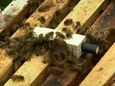 ท่องโลกกว้าง-27-Aug-2012