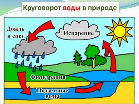 Система i-МММ или как заработать 267,600$ за 1 год