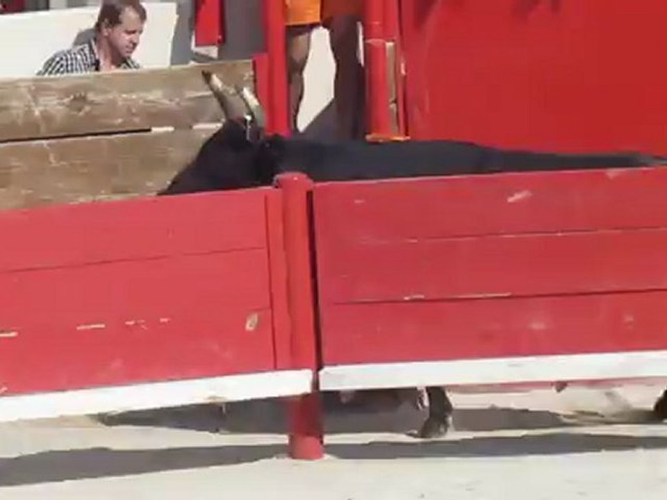 fete de castries (la course du mercredi) 033