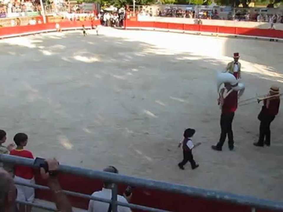 fete de castries (la course du mercredi) 082