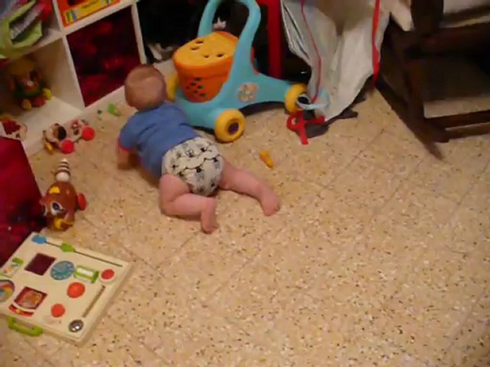 les chats, ce que c'est drôle!