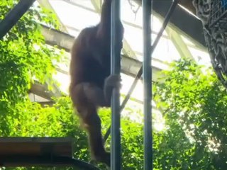 Le journal NTD du 24 août 2012