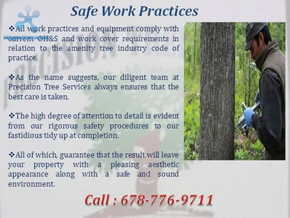 PRECISION TREE SERVICE