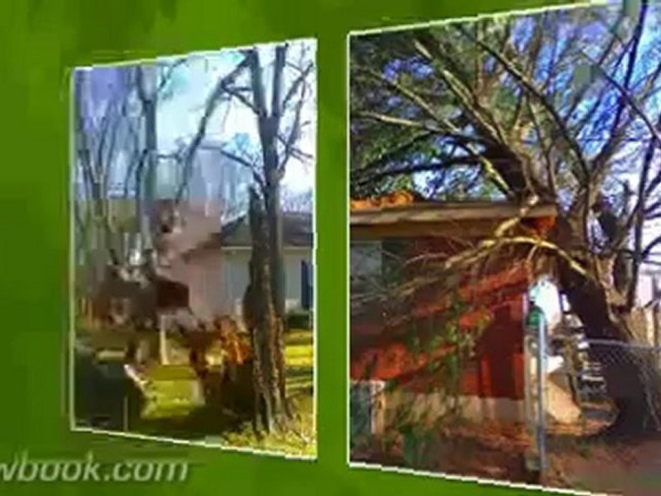 Certified Arborist in Nashville TN