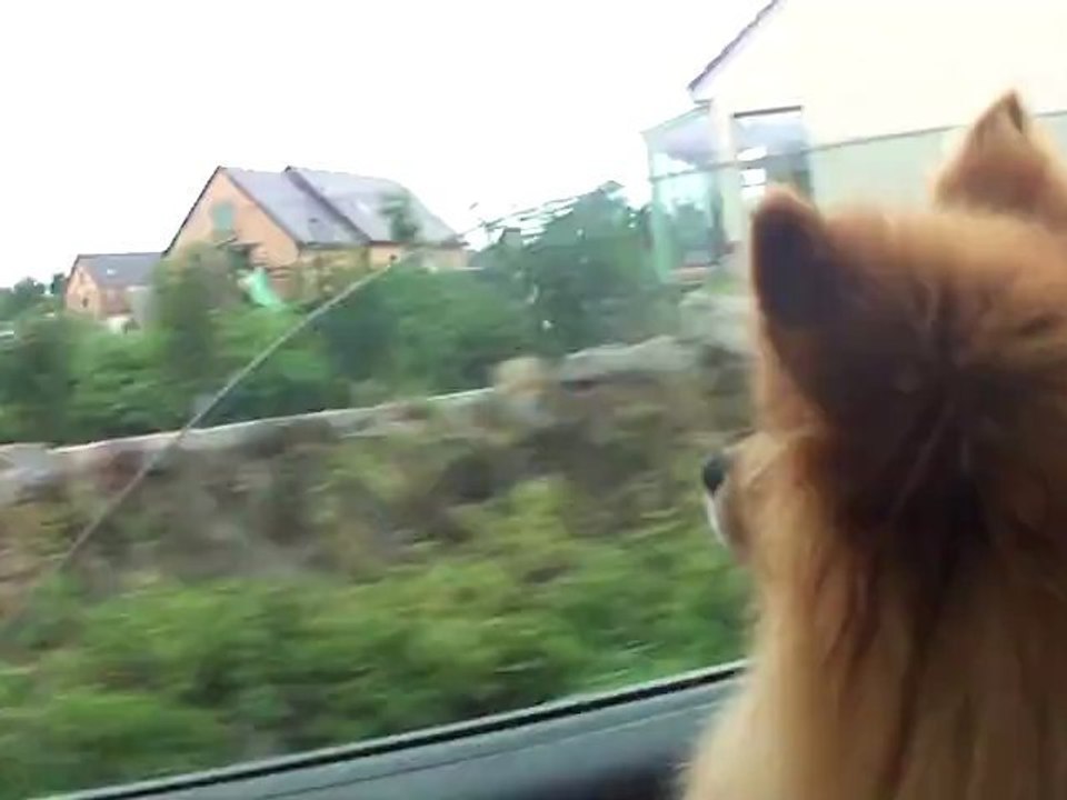 The Road from Lescure to Valuejols (listening : Sun Kil Moon : Third and Seneca)