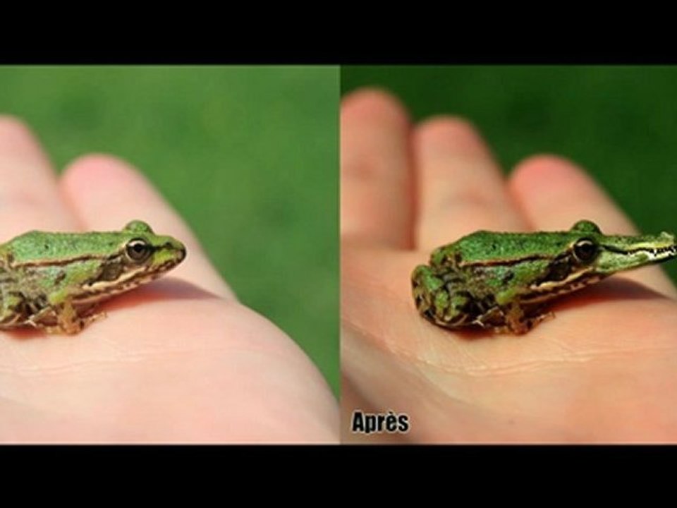 XanderHuit ~ Tutoriel Comment Créer Un Animorphe Avec Photoshop CS6 Extended [HD]