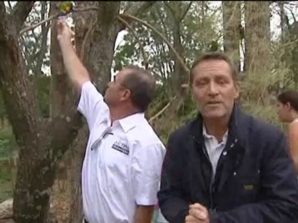 Tour de l'avenir 2012 : avant l'étape 2 - Parc des Oiseaux / Châtillon sur Chalaronne