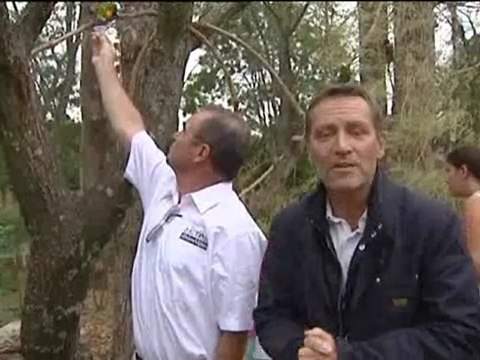 Tour de l'avenir 2012 : avant l'étape 2 - Parc des Oiseaux / Châtillon sur Chalaronne