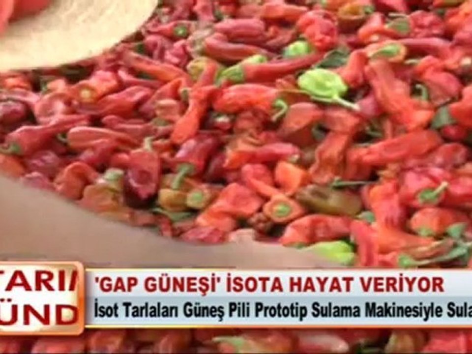 ‘GAP GÜNEŞİ'İSOTA HAYAT VERİYOR