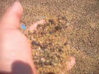 satılık yonca tohumu uzunoba tarım