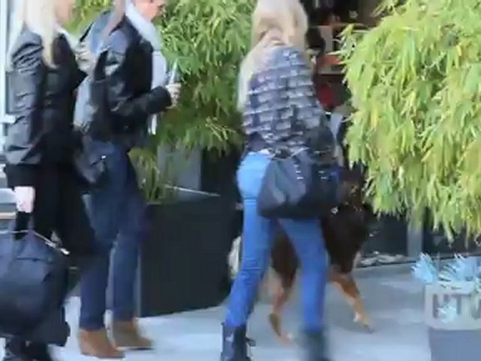 Australian Shepherd: Amanda Seyfried And Her Beloved Pooch Out In Hollywood.