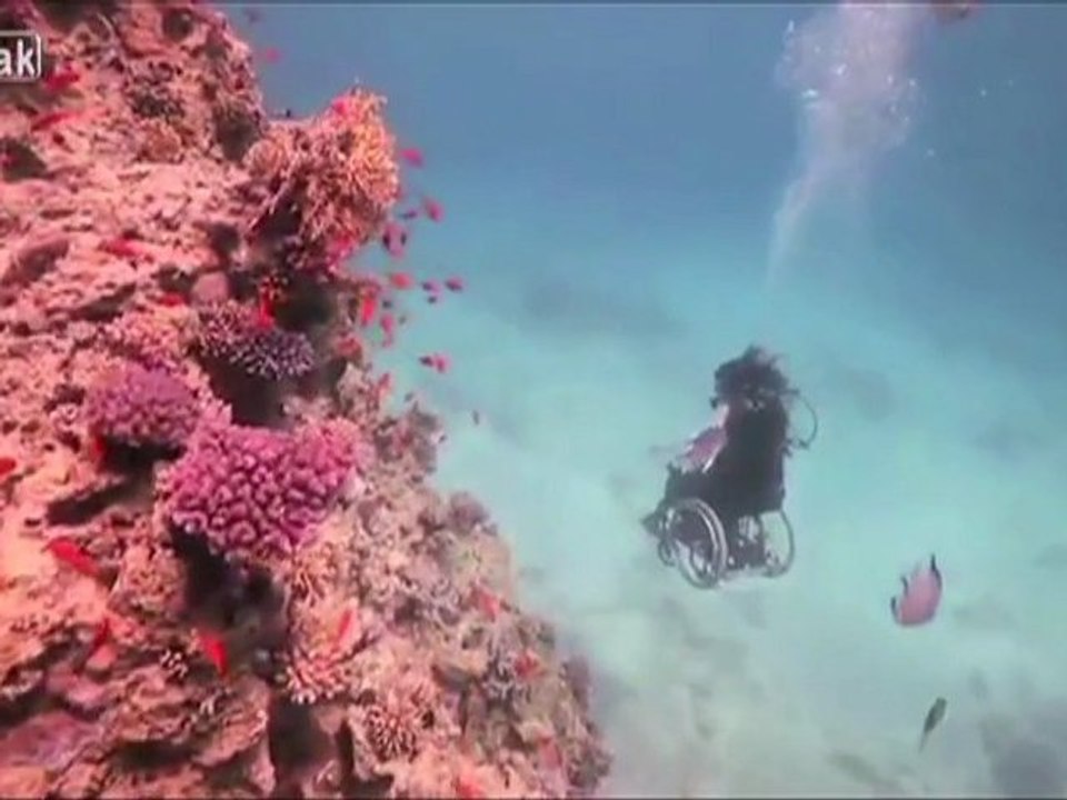 Top 5 : une exploration des fonds sous-marins en fauteuil