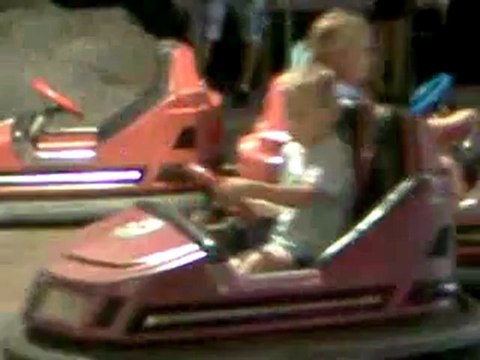 loris aux autos tampon