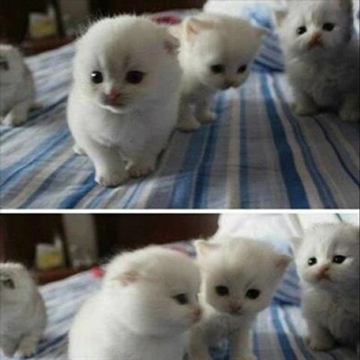 People Magazines Time Direct Ventures Best Cheap Black Friday