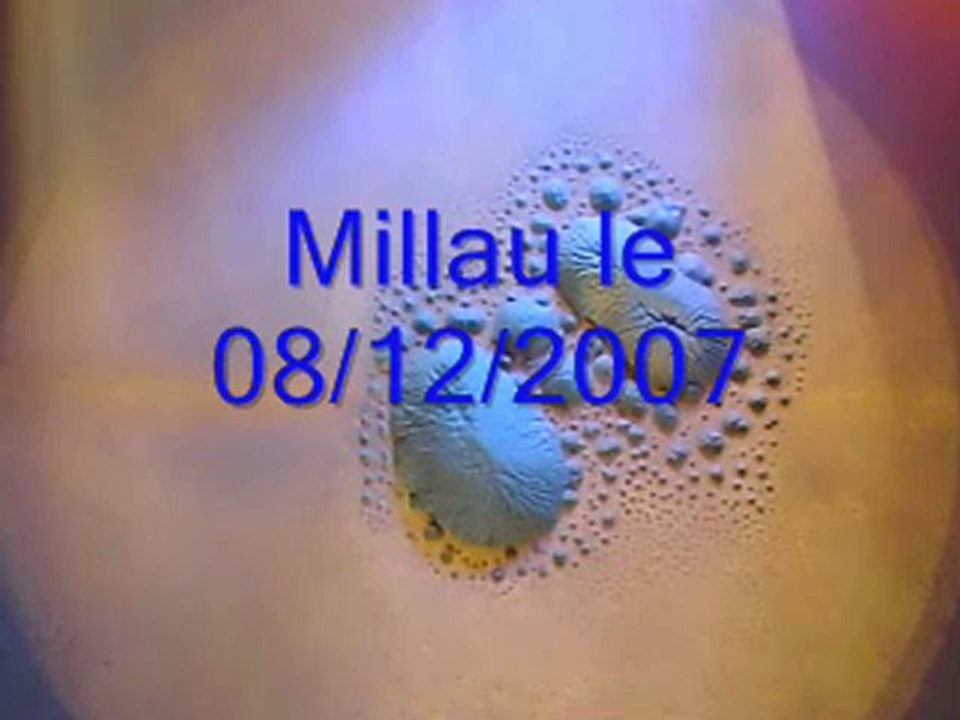 Stéphane Dubois : Fleurs de sable, Millau, 8 août 2007