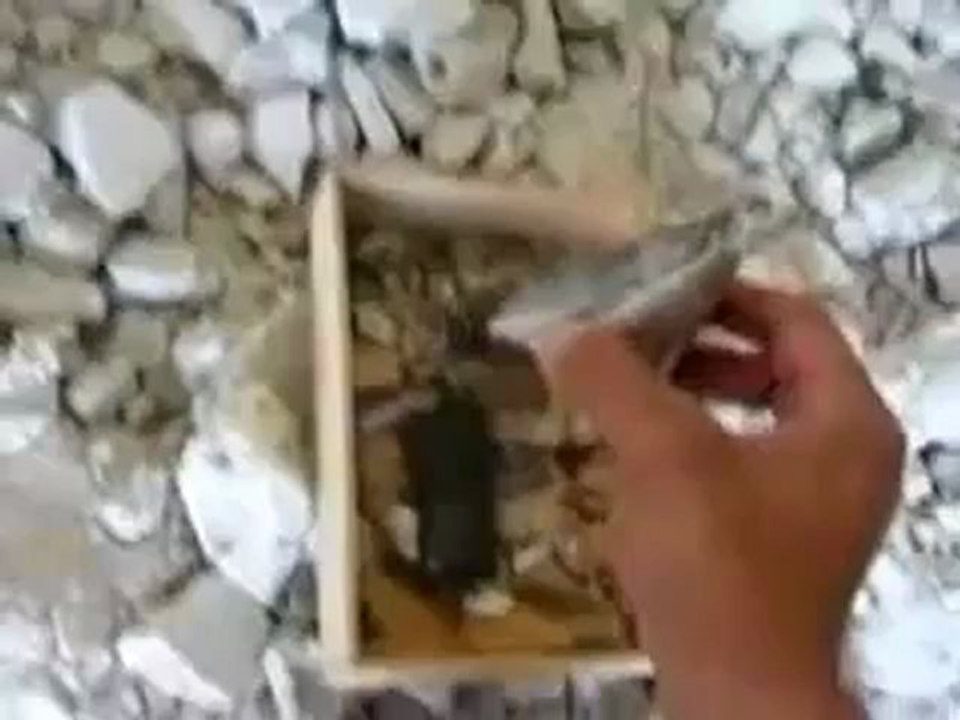 Syria فري برس   ادلب اثار القصف الذي استهدف قرية معراته بجبل الزاوية  28ـ8ـ2012  ج2