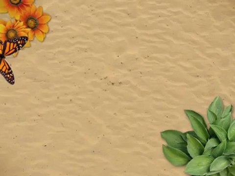 Halifax Hydroponics | Ebb & Flow - How Long To Water