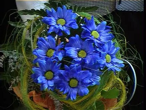 PanTv zinios 20120823