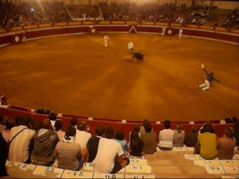 Sauts périlleux aux courses landaises de Vieux-Boucau.wmv