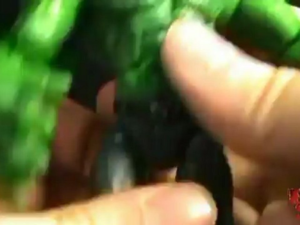 Toy Spot - Toybiz Legendary Comic Book Heroes, Pitt Series: Savage Dragon figure