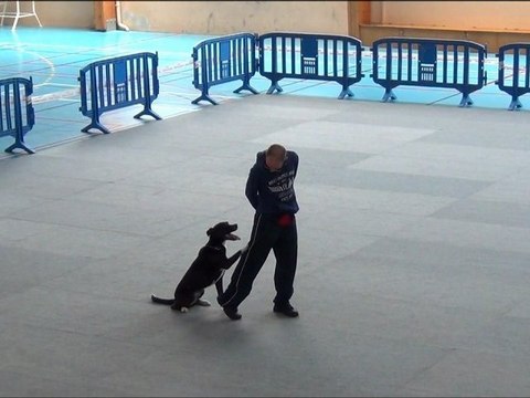 Obérythmée concours Saint Michel Chef Chef 25 aout 2012