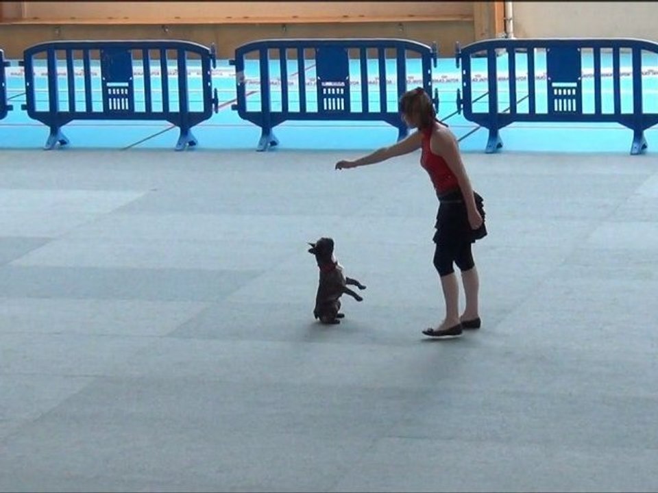 Obérythmée concours Saint Michel Chef Chef 25 aout 2012