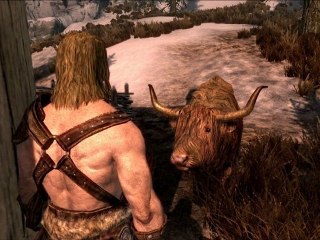 The Elder Scrolls V: Skyrim - Hearthfire