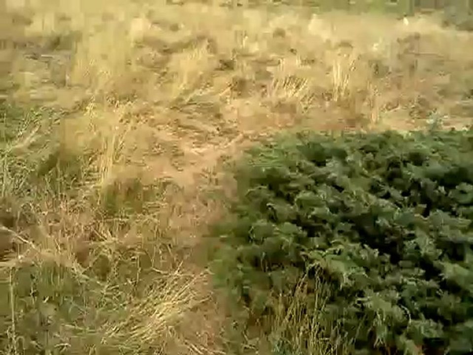 rando à la Grenouillère août 2012