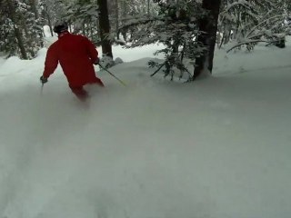 Petit freeride dans les sapins en suisse