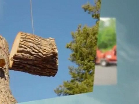 Triple Crown Tree Service - (423) 499-0134