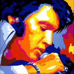 DVELVIS SINGS FAME AND FORTUNE VIDEO FILM