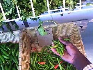 8-27-2012 FITNA AND TRIALS OF A DAY SEEKING NO USURY - RIBA : B