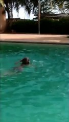 Etienne sans brassards !