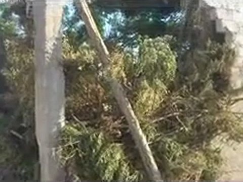 Syria فري برس ريف دمشق الذيابية ما خلفه القصف الاسدي على المنطقة 28-8-2012