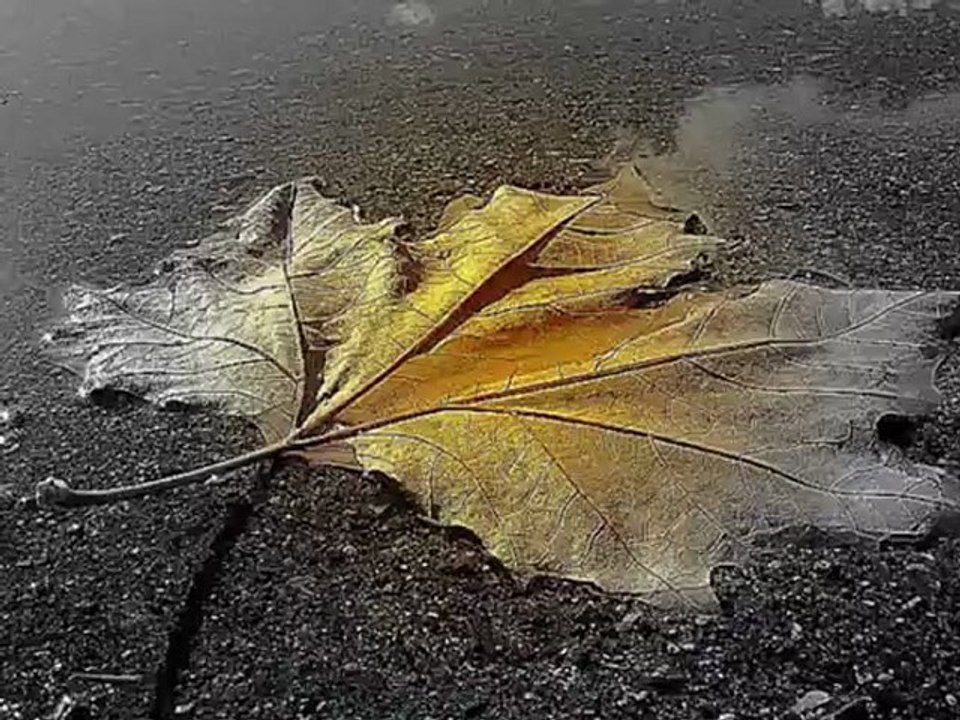 Sanatkarane-Müsade Özdemir