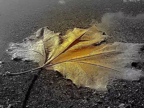 Sanatkarane-Müsade Özdemir