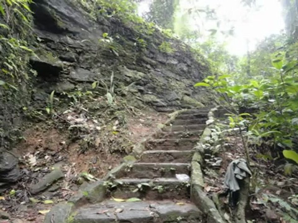 Pedal Samira
