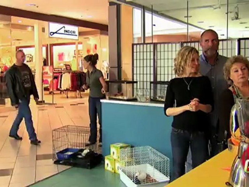 La souris dans le blender à jus