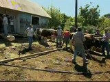 Reportage Minga - maison Fransisco Coloane - Quemchi - Chiloé