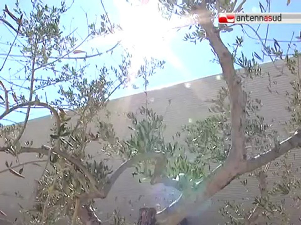 TG 28.08.12 FdL, prof. Viesti impone sobrietà