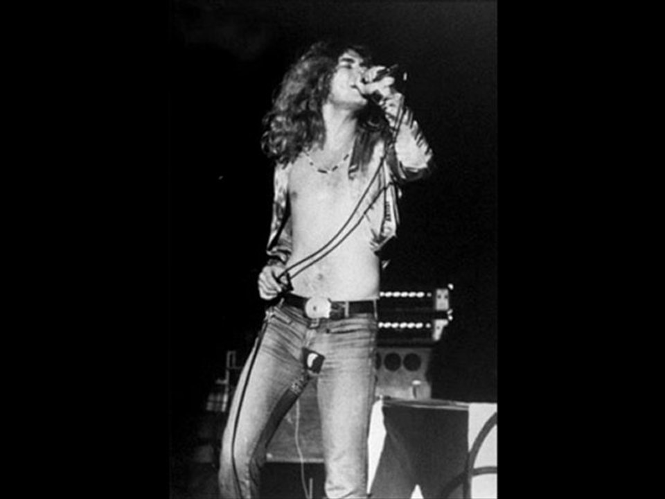 Whole lotta love
