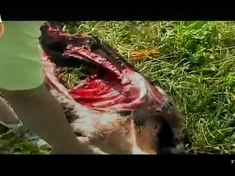 ท่องโลกกว้าง-28-Aug-2012