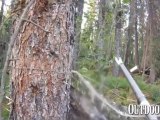 Video: Way Too Close to a Grizzly, Pt. 2