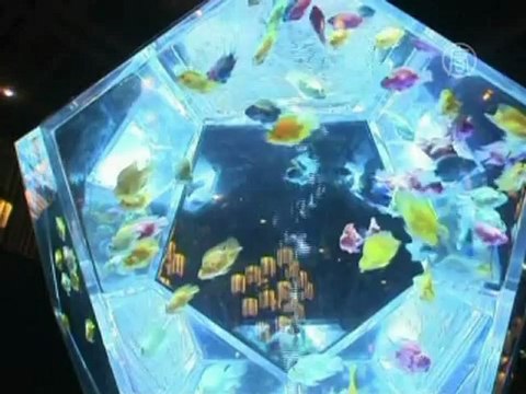 Золотые рыбки как предмет современного искусства