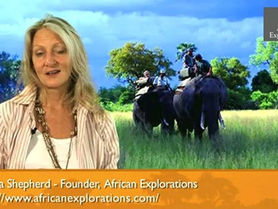 Elephant Safari (visit AfricanExplorations.com)